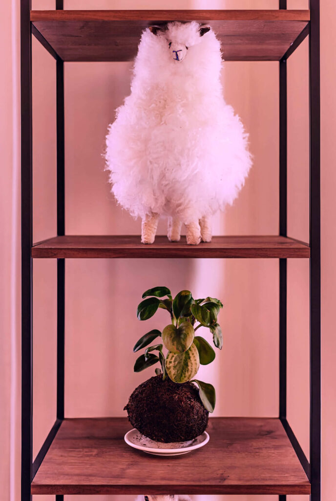 An open wooden shelf displaying a fluffy white llama plush toy on the top shelf and a potted plant with green and white variegated leaves on a kokedama moss ball on the shelf below, set against a warm pink background.